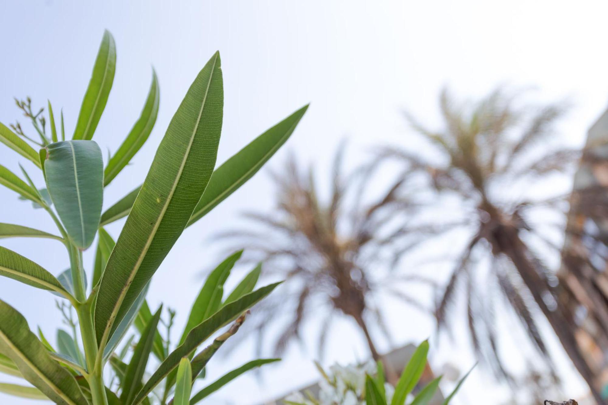 Loft primera línea playa, Cabo de Gata, Wifi Apartment เรตามาร์ ภายนอก รูปภาพ